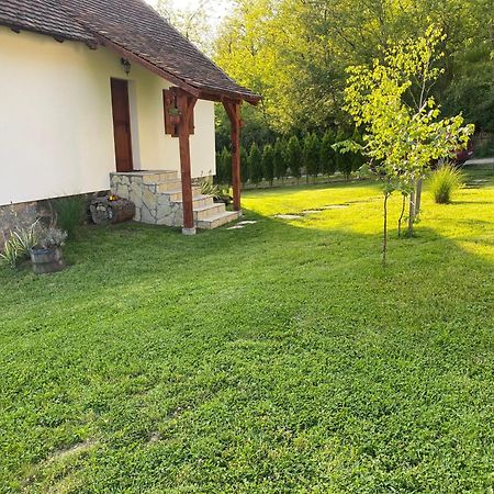 Rudnicki Eko Breg Villa Rudnik Bagian luar foto
