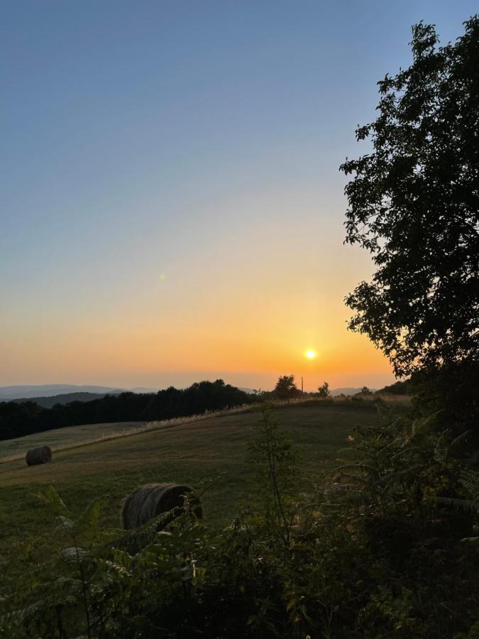 Rudnicki Eko Breg Villa Rudnik Bagian luar foto