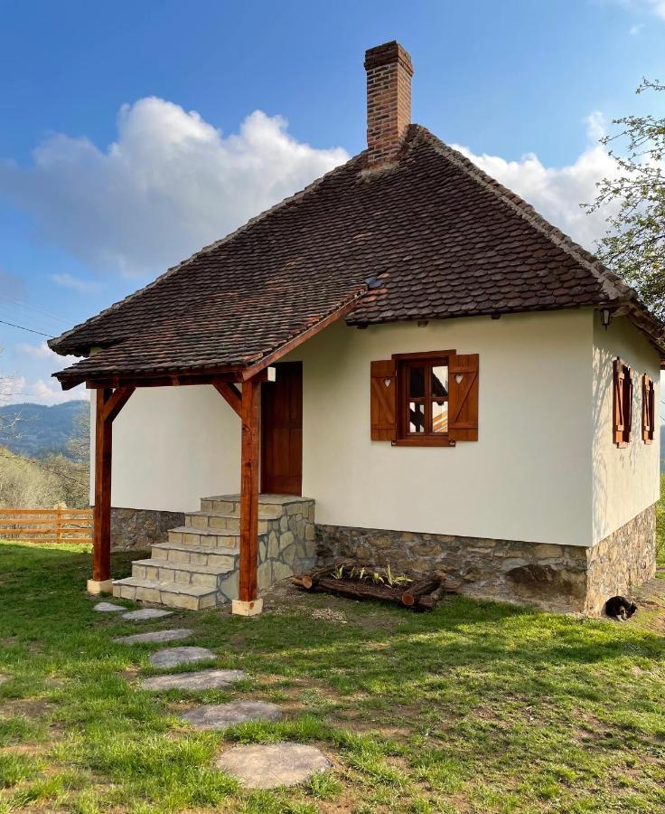 Rudnicki Eko Breg Villa Rudnik Bagian luar foto