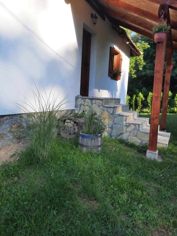 Rudnicki Eko Breg Villa Rudnik Bagian luar foto