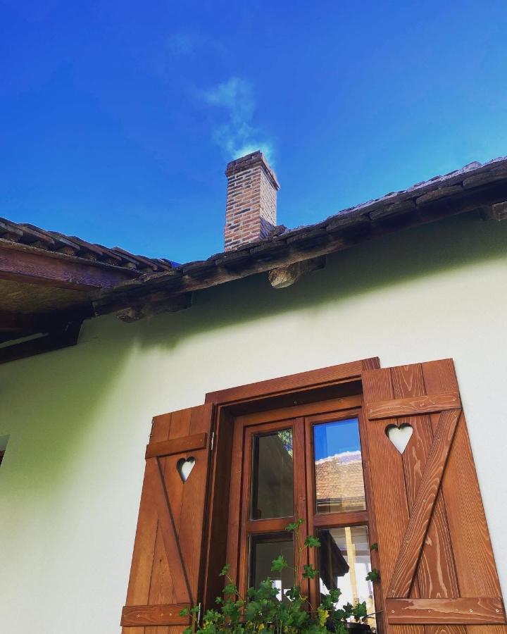 Rudnicki Eko Breg Villa Rudnik Bagian luar foto