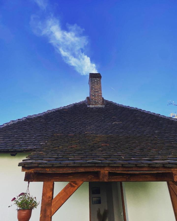 Rudnicki Eko Breg Villa Rudnik Bagian luar foto