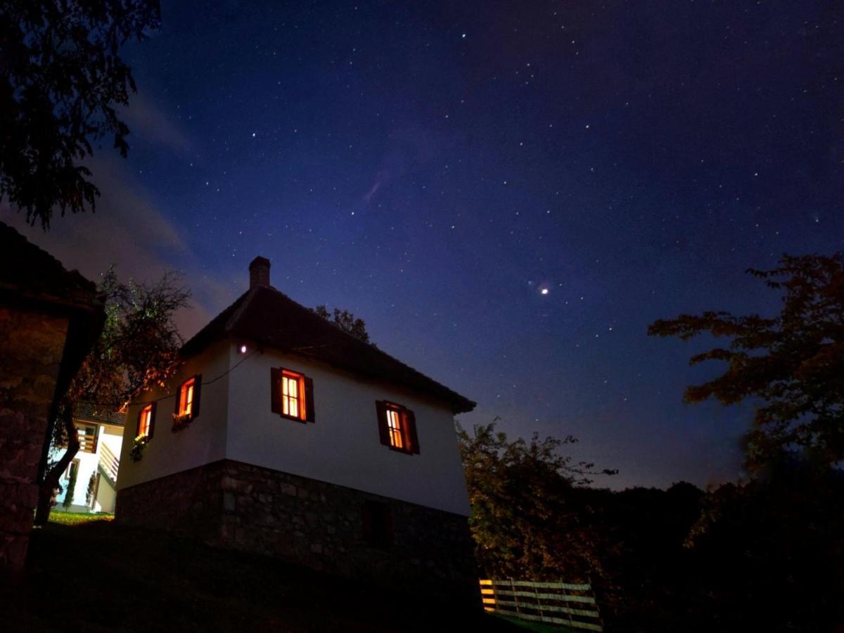 Rudnicki Eko Breg Villa Rudnik Bagian luar foto