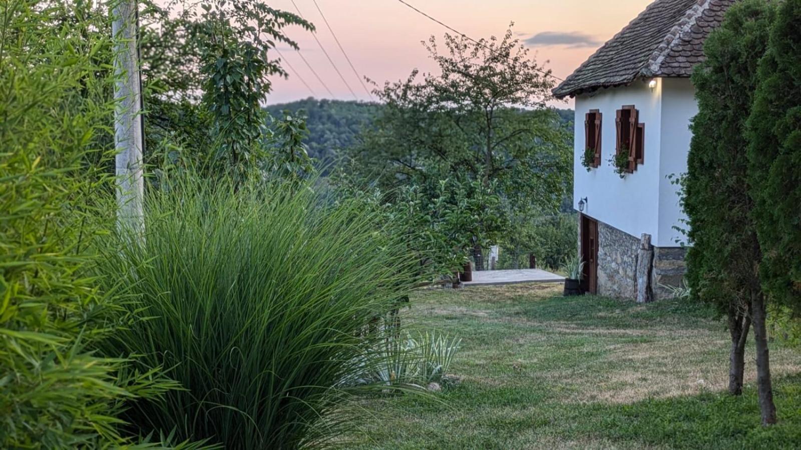 Rudnicki Eko Breg Villa Rudnik Bagian luar foto